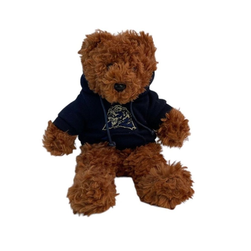 Team Bean Authentic Teddy Bear 9" Plush Blue Carolina Panther Hoodie‎